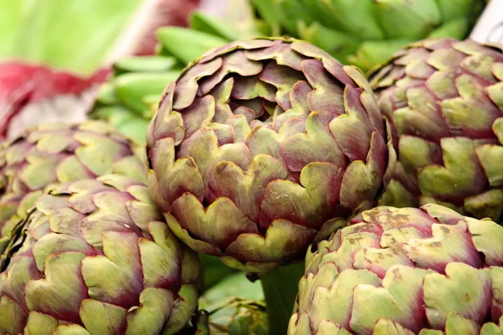 artichoke 4253464 1920 1024x683 2