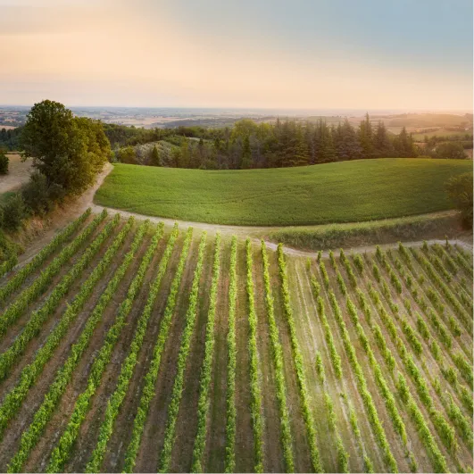 destinazioni piemonte