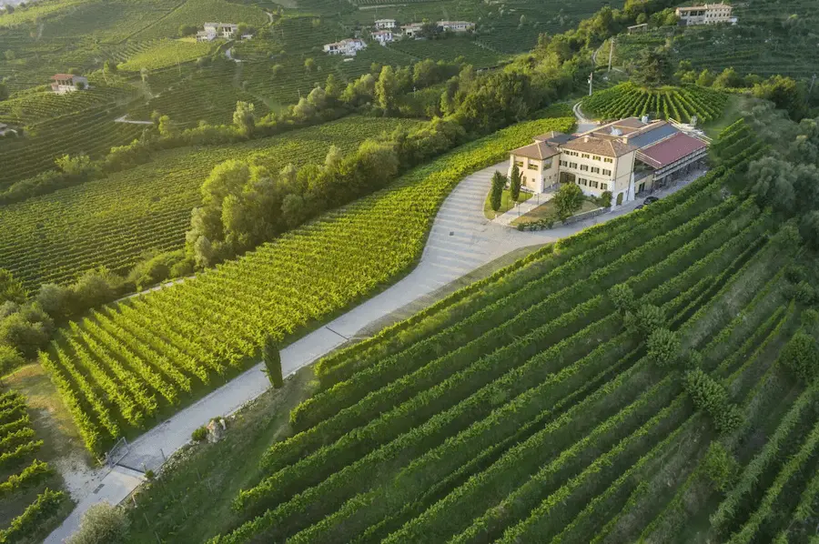 colline del prosecco