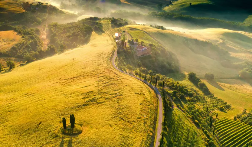 Visite guidate, attività e tour a Toscana