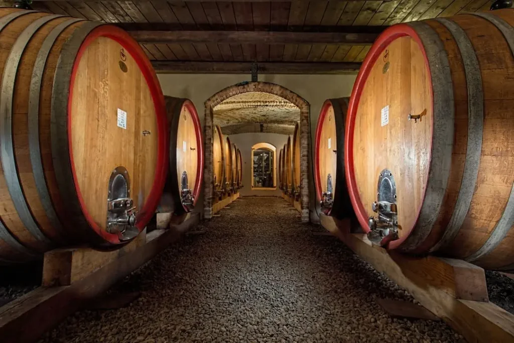 Langhe wine tasting