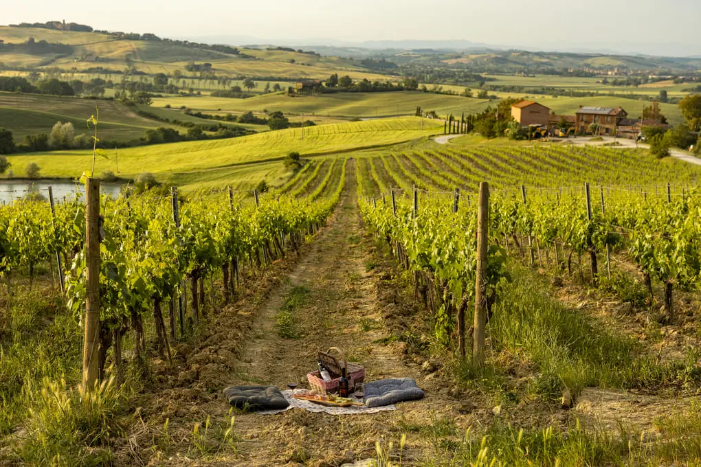 picnic a Montalcino